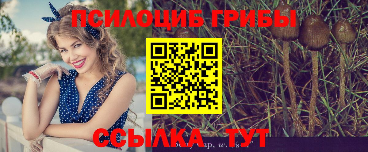 Галлюциногенные грибы мицелий  Вход с VPN  купить  сайты  Лесосибирск 
